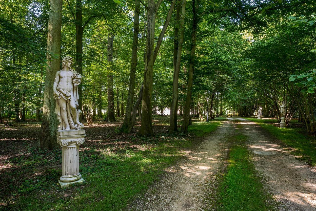 Domaine Du Bois Des Anges Bed & Breakfast Germigny-l'Eveque ภายนอก รูปภาพ