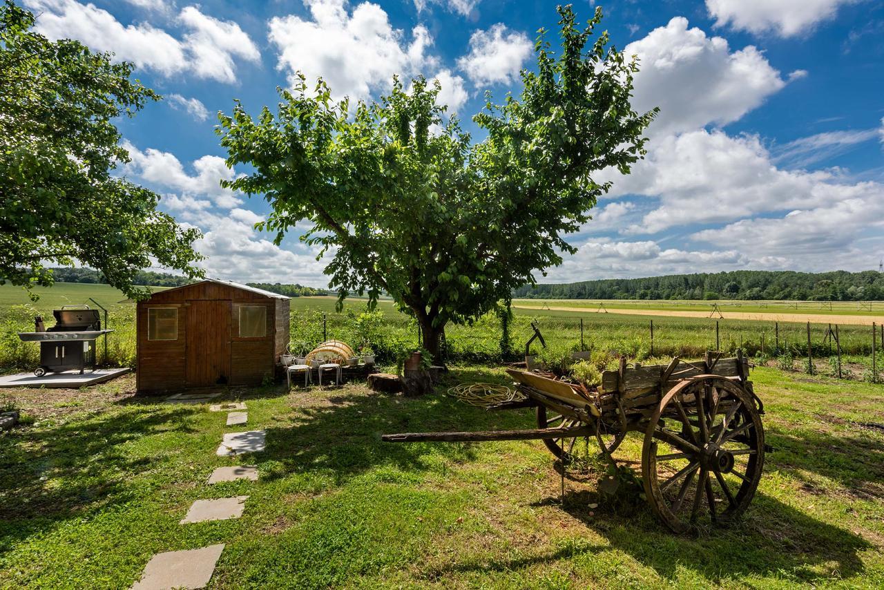 Domaine Du Bois Des Anges Bed & Breakfast Germigny-l'Eveque ภายนอก รูปภาพ